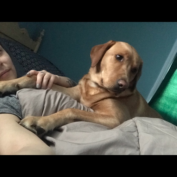 Meet your Posher, Jennifer - Picture 4 of 7